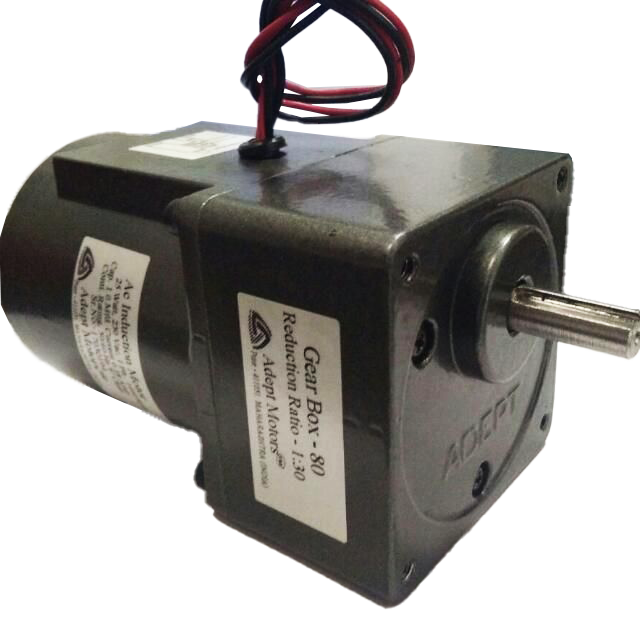25 Watt Induction Gear Motor
